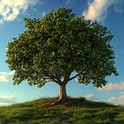 Decision Tree (Part 1): Should You Play Basketball? Let the Decision Tree Tell You!(Practical Data Analysis 11)