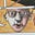 Angus Eckstein's avatar
