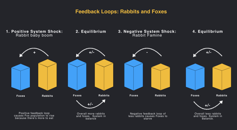 The Black Box of Product Management | Brandon Chu | Substack