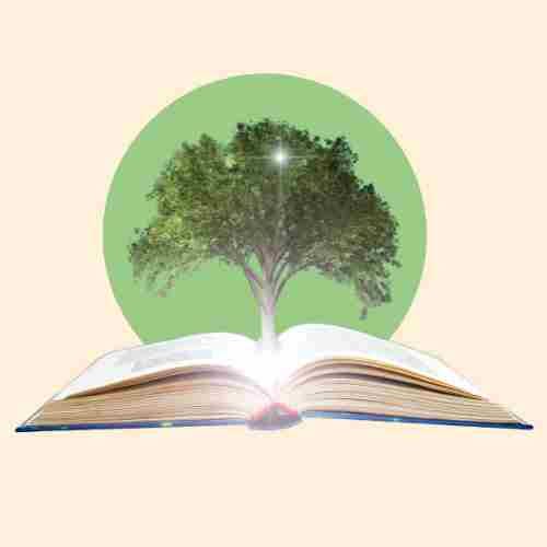 InkCouragement: Creative Confidence with Dr Rachel Knightley