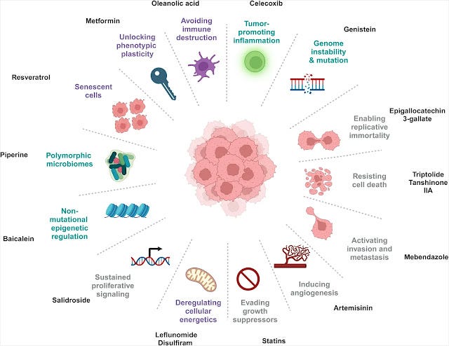 Repurposed Drugs for Cancer