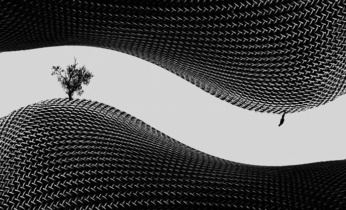 Inversion by Zeynab Hassan Yazdi, art work | Art Limited