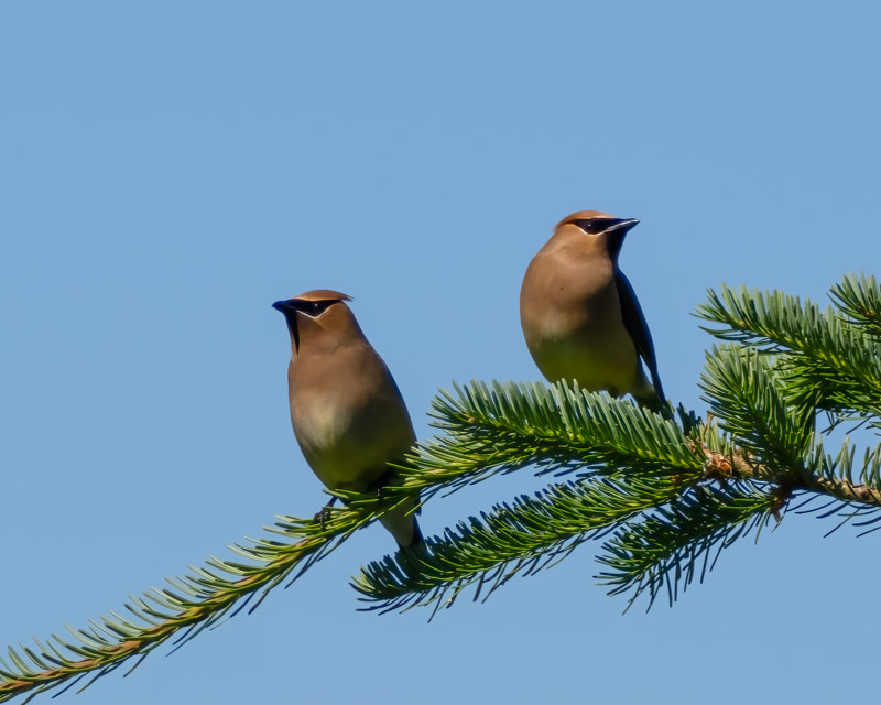 20250610-SJI3-21-Edit.jpg 20250610-SJI3-21-Edit.jpg