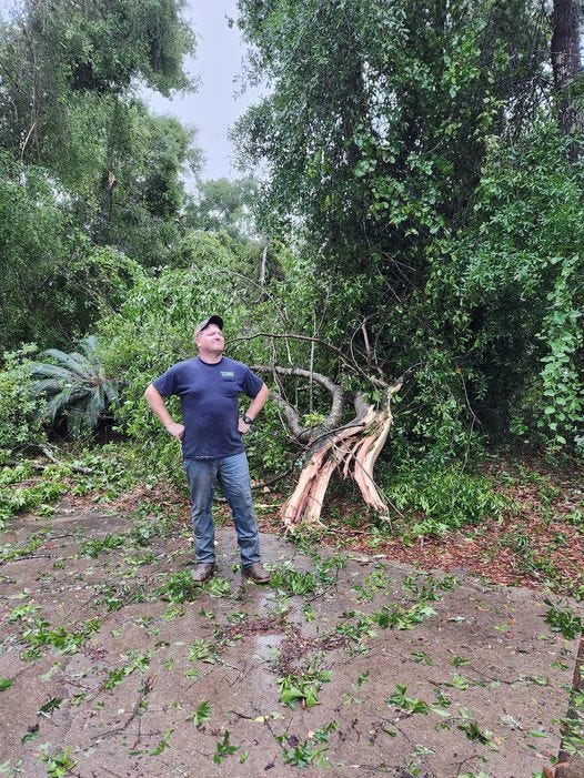 May be an image of 1 person, grass and tree May be an image of 1 person, grass and tree