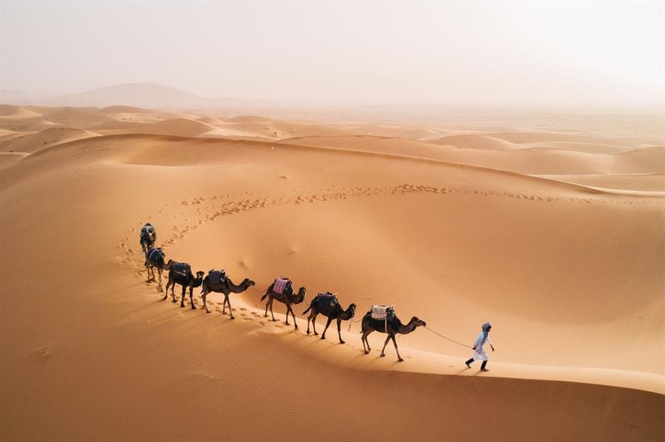 The world's last surviving nomads | loveexploring.com