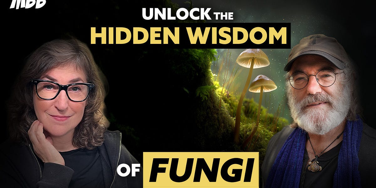 How Mushrooms Rewire Your Brain Expand Your Consciousness Can Heal