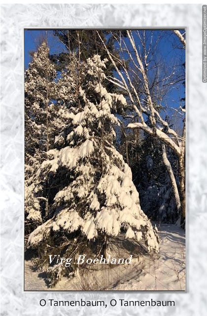 O Tannenbaum O Tannenbaum