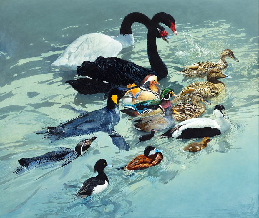 RAYMOND CHING - Flotilla!