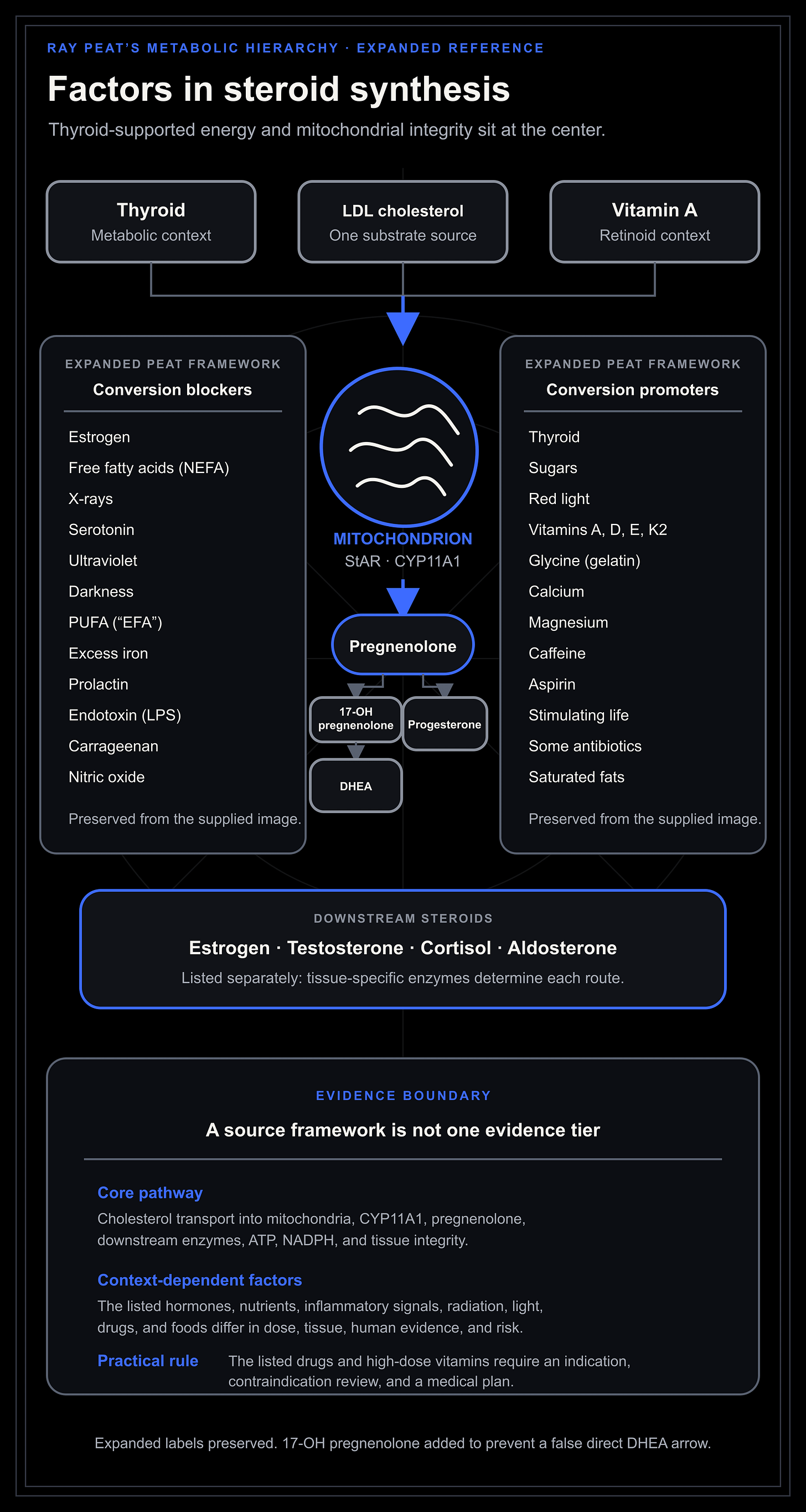 Ray Peat-derived factors in steroid synthesis