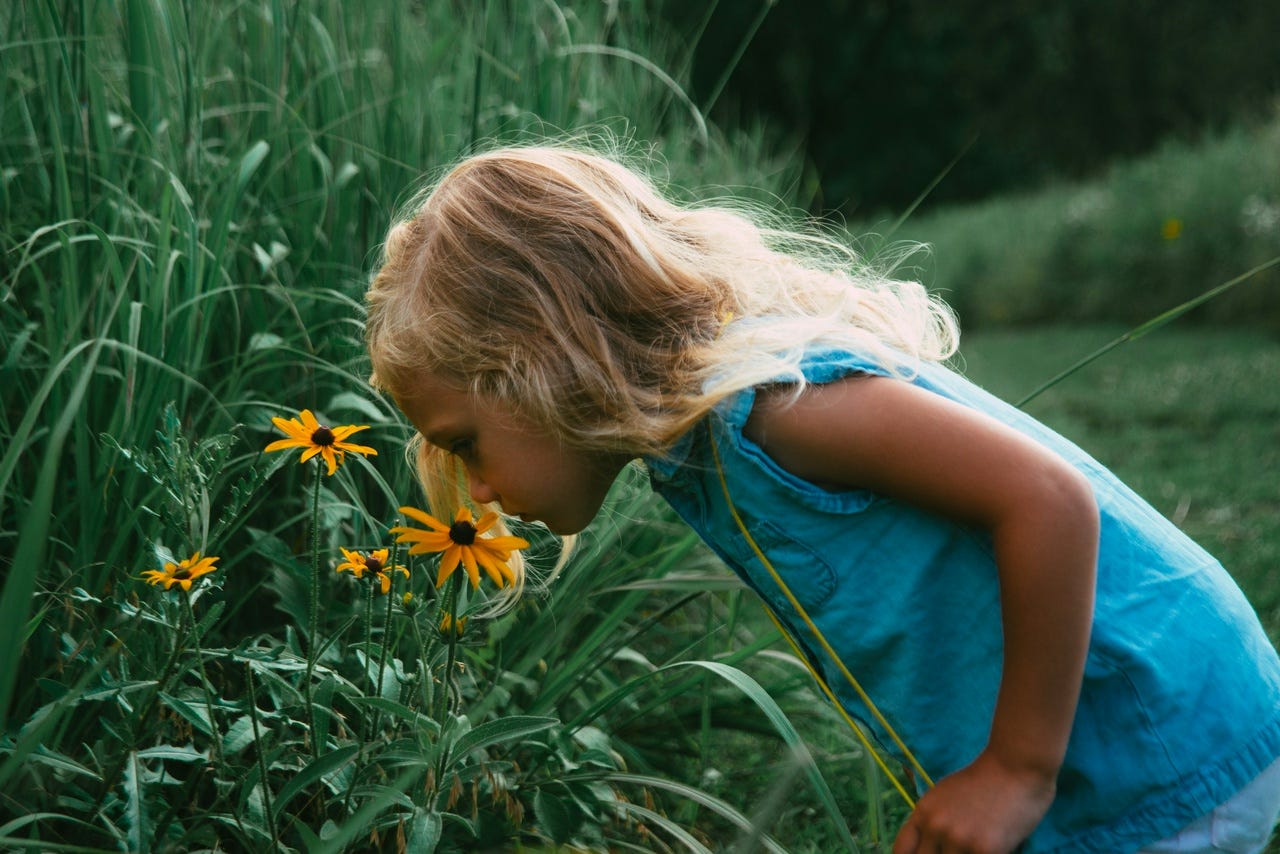 Photo by Casey Murphy on Unsplash Photo by Casey Murphy on Unsplash