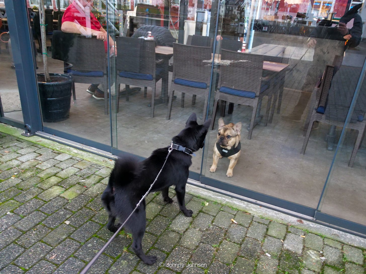 Dette bildet mangler alt-tekst; dets filnavn er king-kenny-pai-bysleng-Y4L4gZ59Retbrpyn.jpg Dette bildet mangler alt-tekst; dets filnavn er king-kenny-pai-bysleng-Y4L4gZ59Retbrpyn.jpg