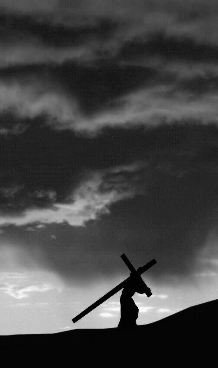 Artwork for oyama zozi