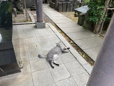 Ekōin also has a special location for pets who have passed away, and a very old set of grave markers dedicated to people who passed in the Great Fire of Meireki in 1657. While I was there, a very friendly cat made sure we knew we were welcome. Perhaps he liked that we said a prayer for the pets and the fire victims.