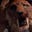 Sabertooth's avatar