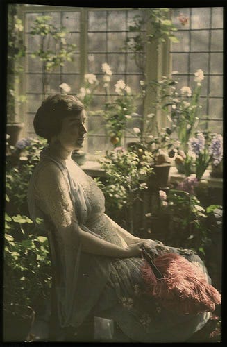 Unkillable Houseplants: What Victorian Londoners Knew – The Garreteer