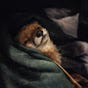Wahan's avatar