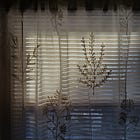 silver linings saturday #5