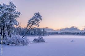 Frozen Lake landscape scene at winter ...
