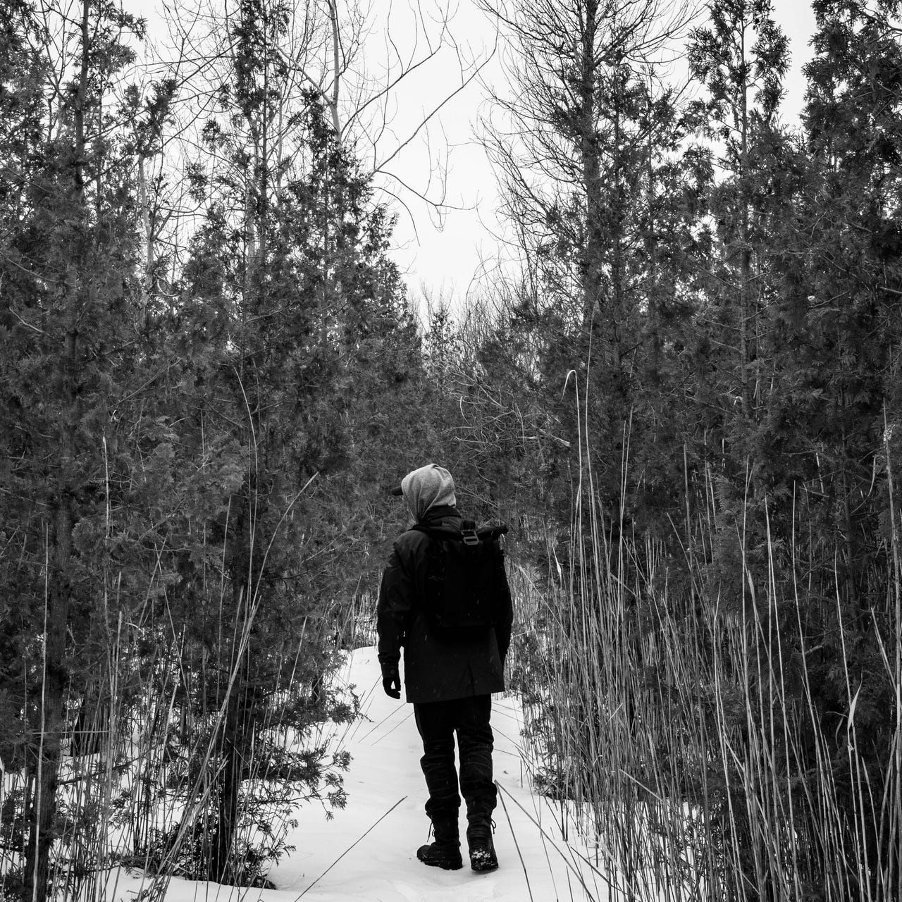 The Via Pulchritudinis