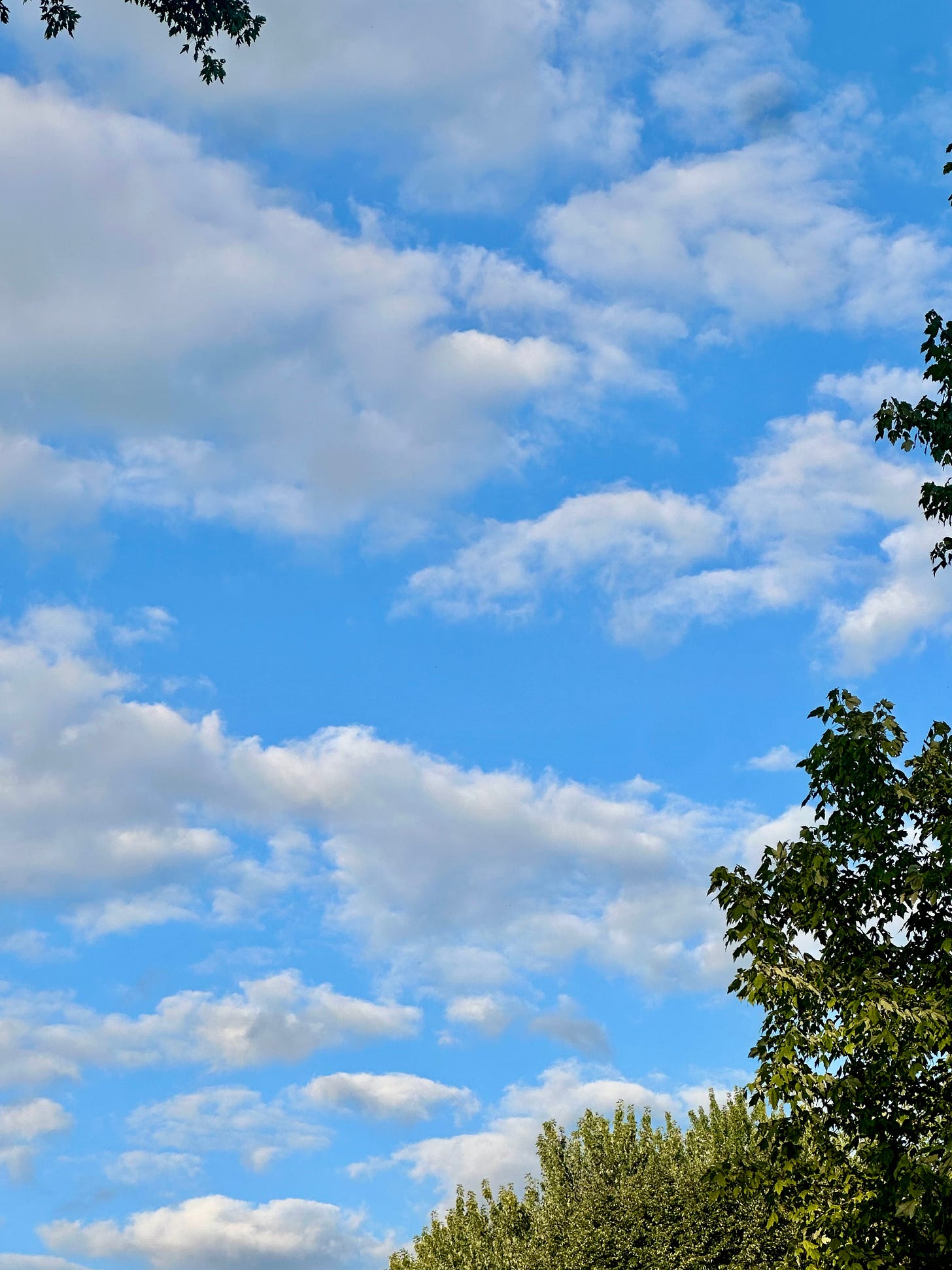 Clouds against a blue sky