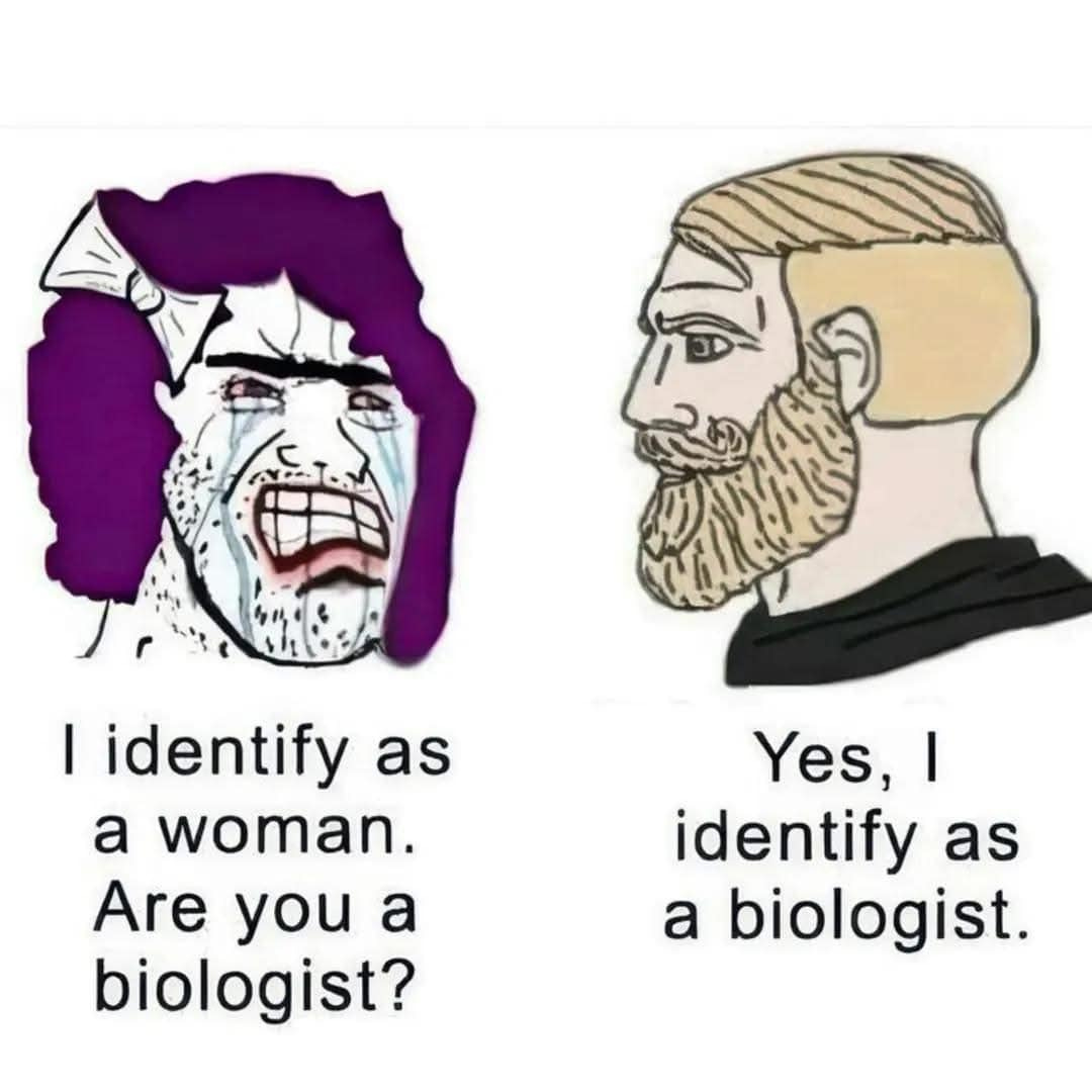May be a doodle of text that says '多馬 I identify as a woman. Are you a biologist? Yes, I identify as a biologist.'