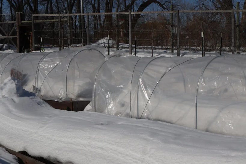 Garden beds covered by two layers to protect crops through winter.