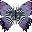 I and the Butterfly's avatar