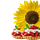 Tarte aux fraises et tournesol • Inclusion et accessibilité