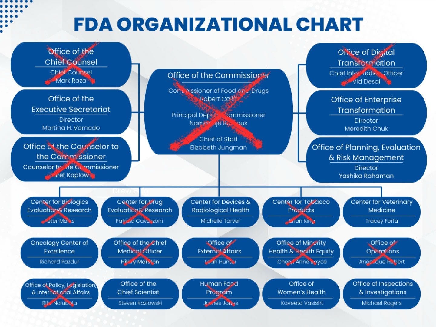 Image: FDA Organizational Chart showing that the majority of senior leadership have been purged under Marty Makary and Vinay Prasad Image: FDA Organizational Chart showing that the majority of senior leadership have been purged under Marty Makary and Vinay Prasad