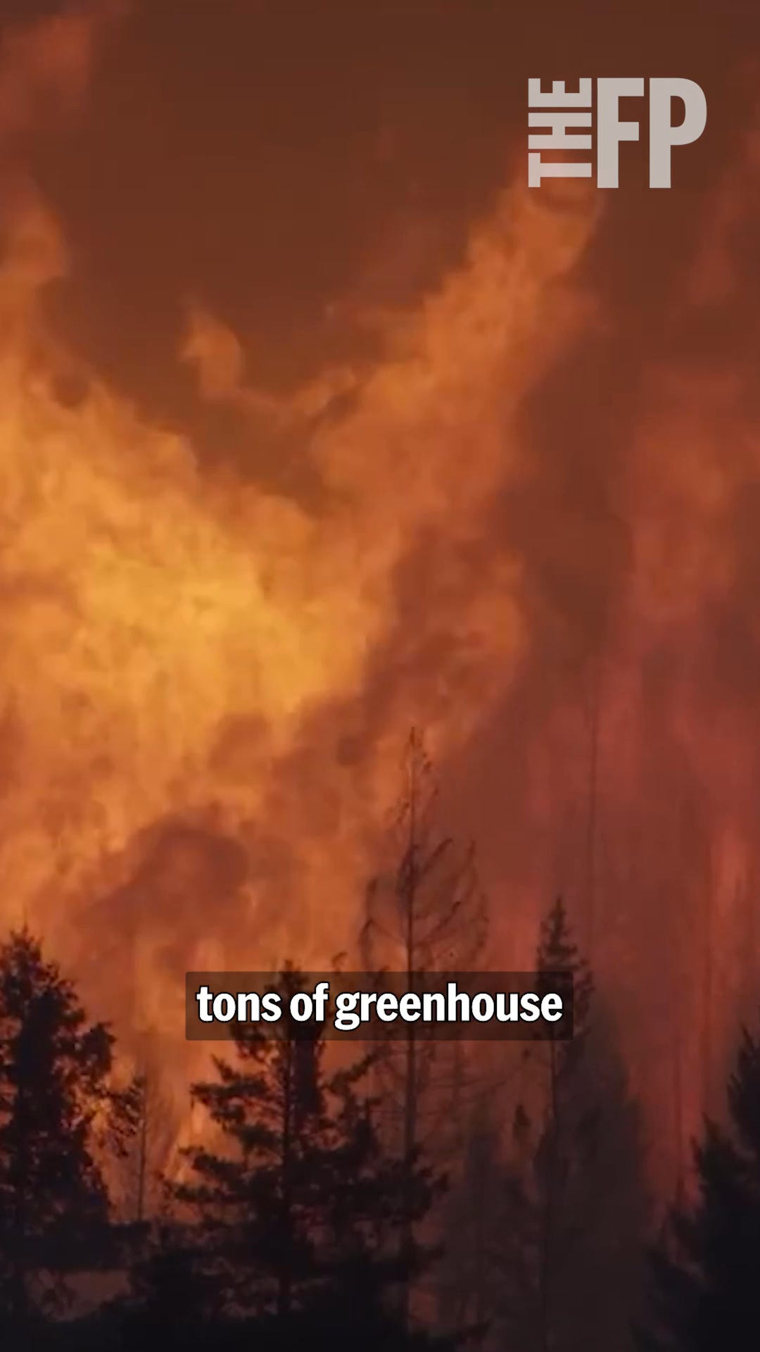 Bill Gates Has Finally Admitted That Climate Doomerism Is a Mistake