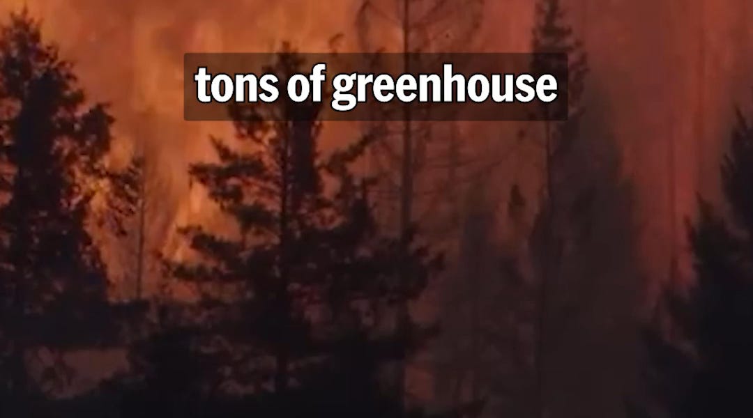 Bill Gates Revises Climate Change Stance, Prioritizes Poverty and Health