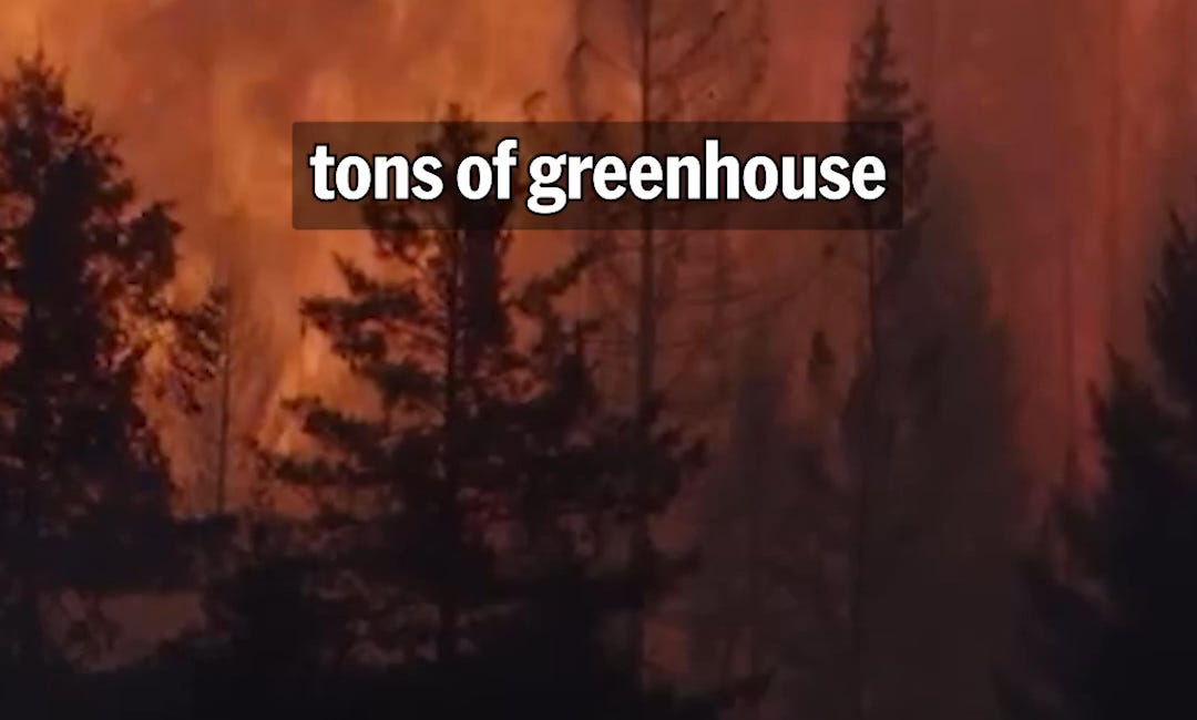 Bill Gates Has Finally Admitted That Climate Doomerism Is a Mistake