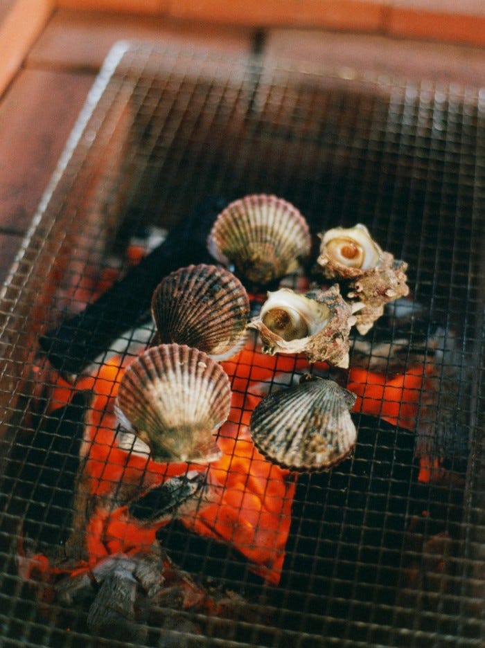 Sea snails and clams on the grill