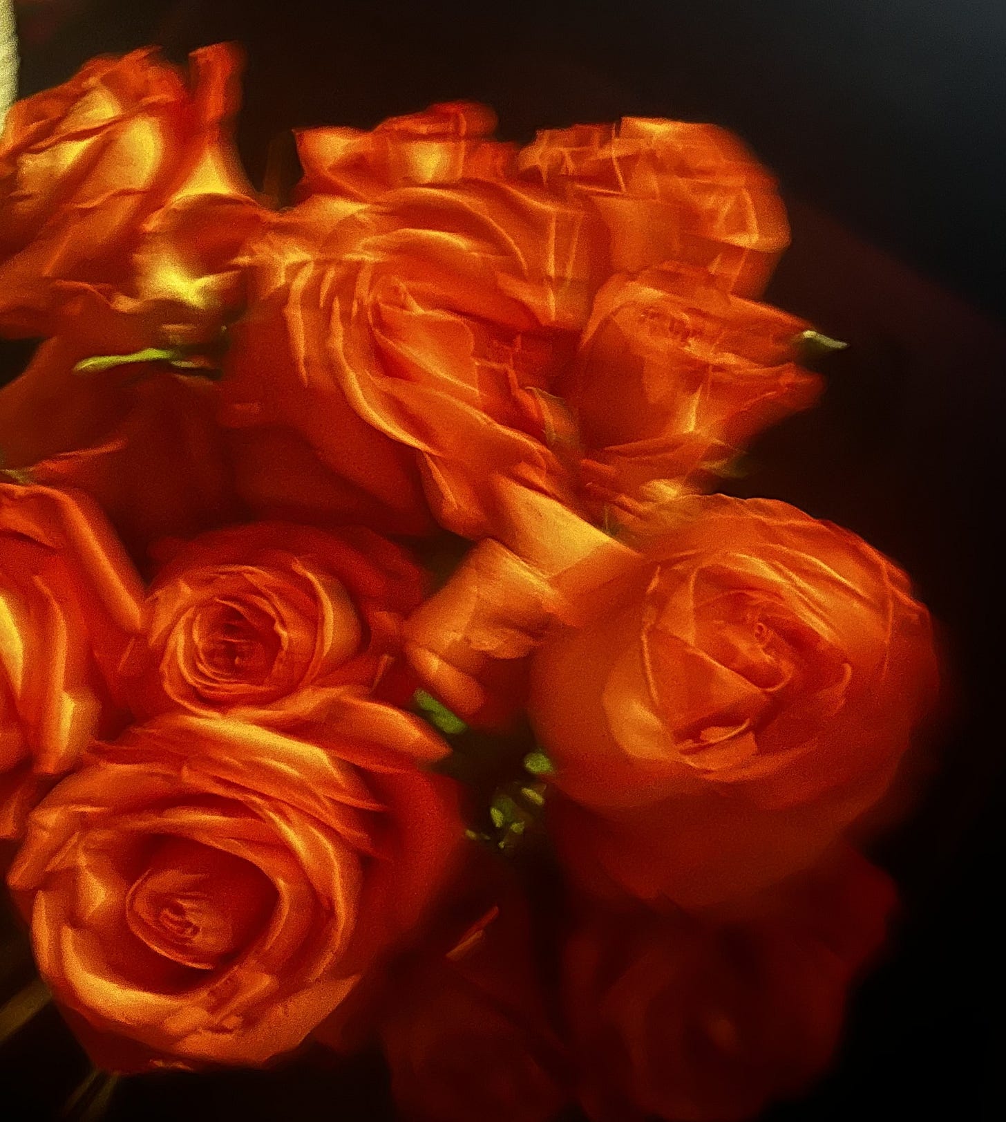 Soft-focus close-up of orange roses photographed in low light, petals glowing with warm amber tones against a dark background. The shallow depth of field and motion blur create a dreamy, romantic atmosphere, emphasizing texture, warmth, and softness. Soft-focus close-up of orange roses photographed in low light, petals glowing with warm amber tones against a dark background. The shallow depth of field and motion blur create a dreamy, romantic atmosphere, emphasizing texture, warmth, and softness.