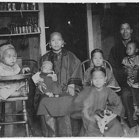 The Chinese in America