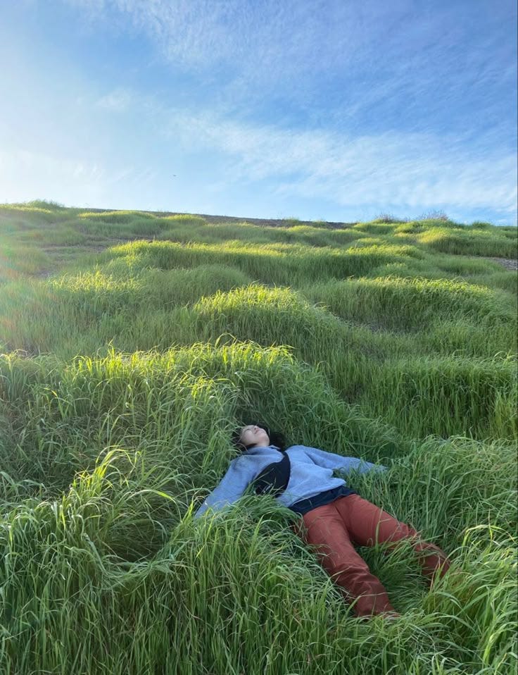 This may contain: a person laying in the middle of tall grass