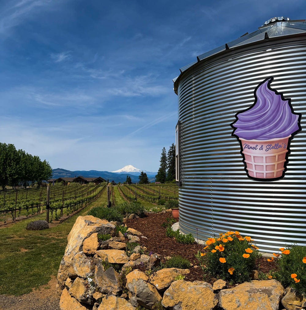 pinot and stellas lavendar farm hood river oregon