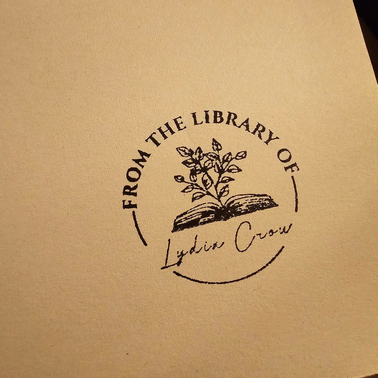 Scribbles and Sketches