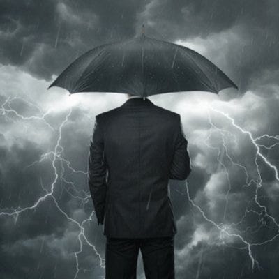 Lionheart’s Newsletter