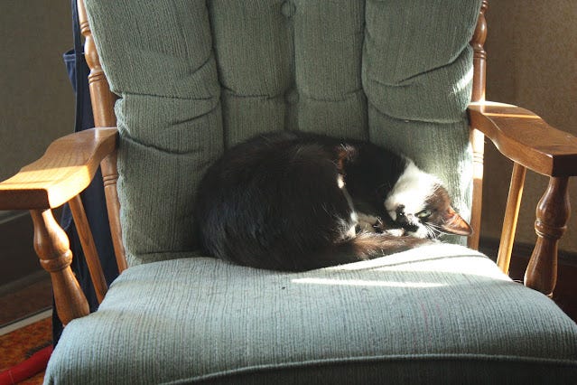 Bree in a chair