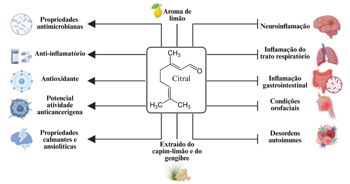 Infográfico com a molécula “Citral” ao centro e setas indicando possíveis efeitos biológicos, como ação antimicrobiana, anti-inflamatória, antioxidante e relação com diferentes processos inflamatórios no organismo.