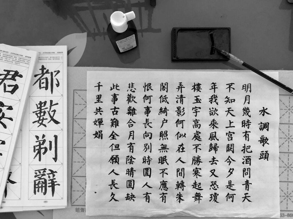 chinese room - adarsh badri - philosophical thought experiments
  