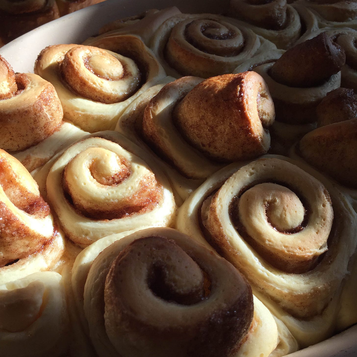 Freshly-baked cinnamon rolls still in the pan in a sunbeam