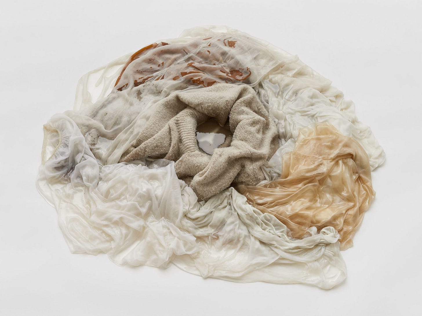 T0012552 Isabella Benshimol Toro Soft Shell Cochlea N.1, 2021 – Timothy  Taylor