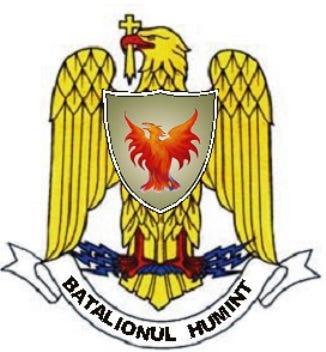 batalion HUMINT Romania
