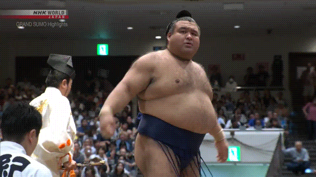 SUMO　STOMP/SUMO　COMP Sumo Stomp! | Tim Bissell | Substack