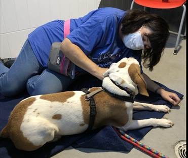 A person wearing a mask and sitting on the floor with a dog

AI-generated content may be incorrect.