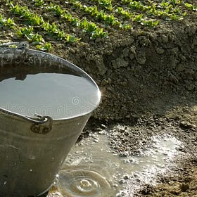 Will I Make Royalties?