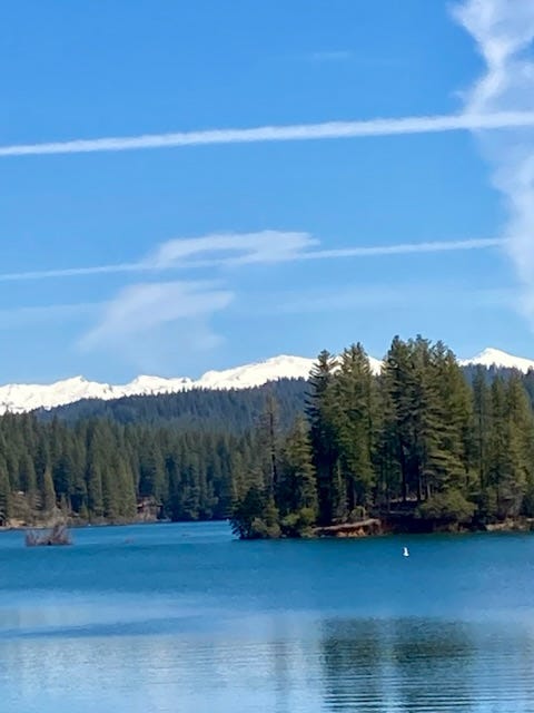 Lake, forest, snowy mountains
