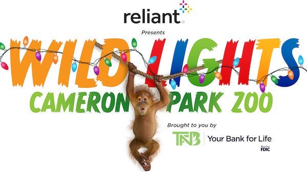 wild-lights-2022